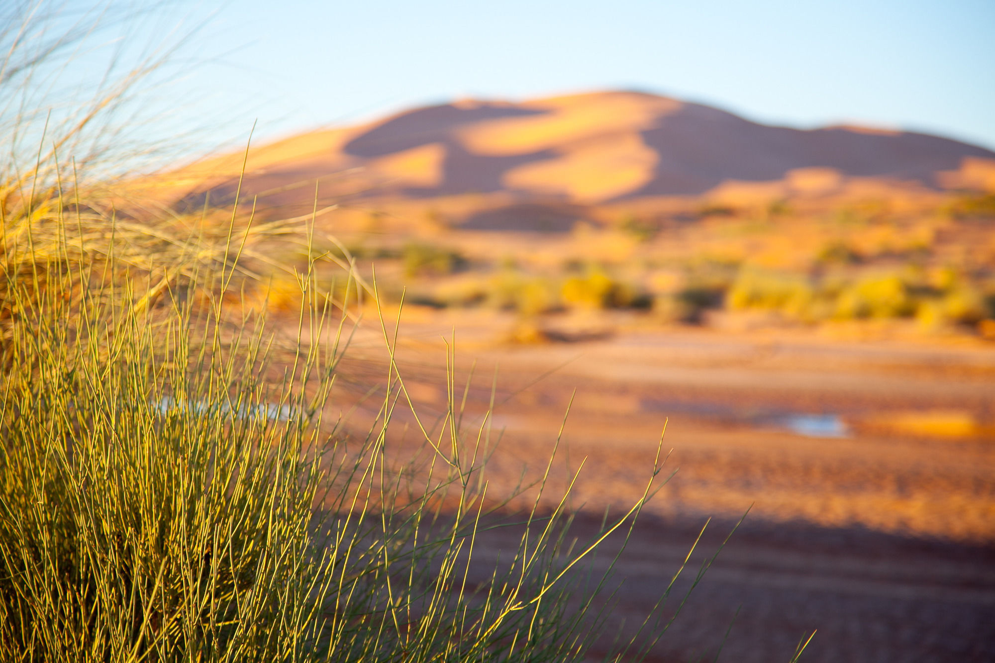 Kam Kam Dunes Merzouga Eksteriør bilde