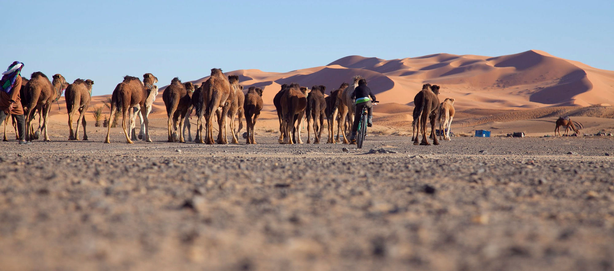Kam Kam Dunes Merzouga Eksteriør bilde